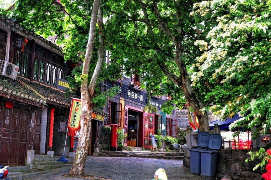 《杨文彬的爱情观》